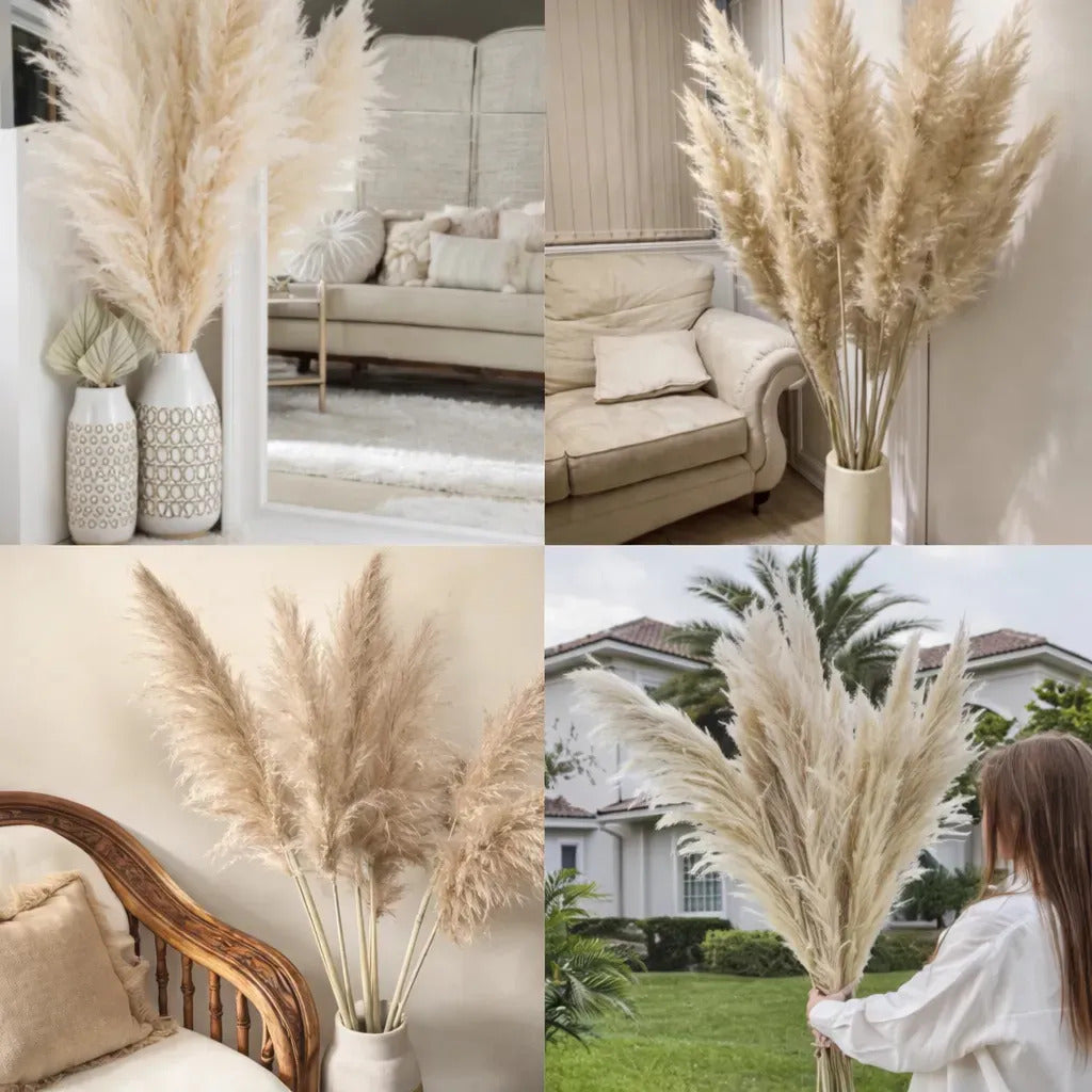 Kit 10 Capim Dos Pampas Natural Grande Dourado Decor Boho Casa Duque